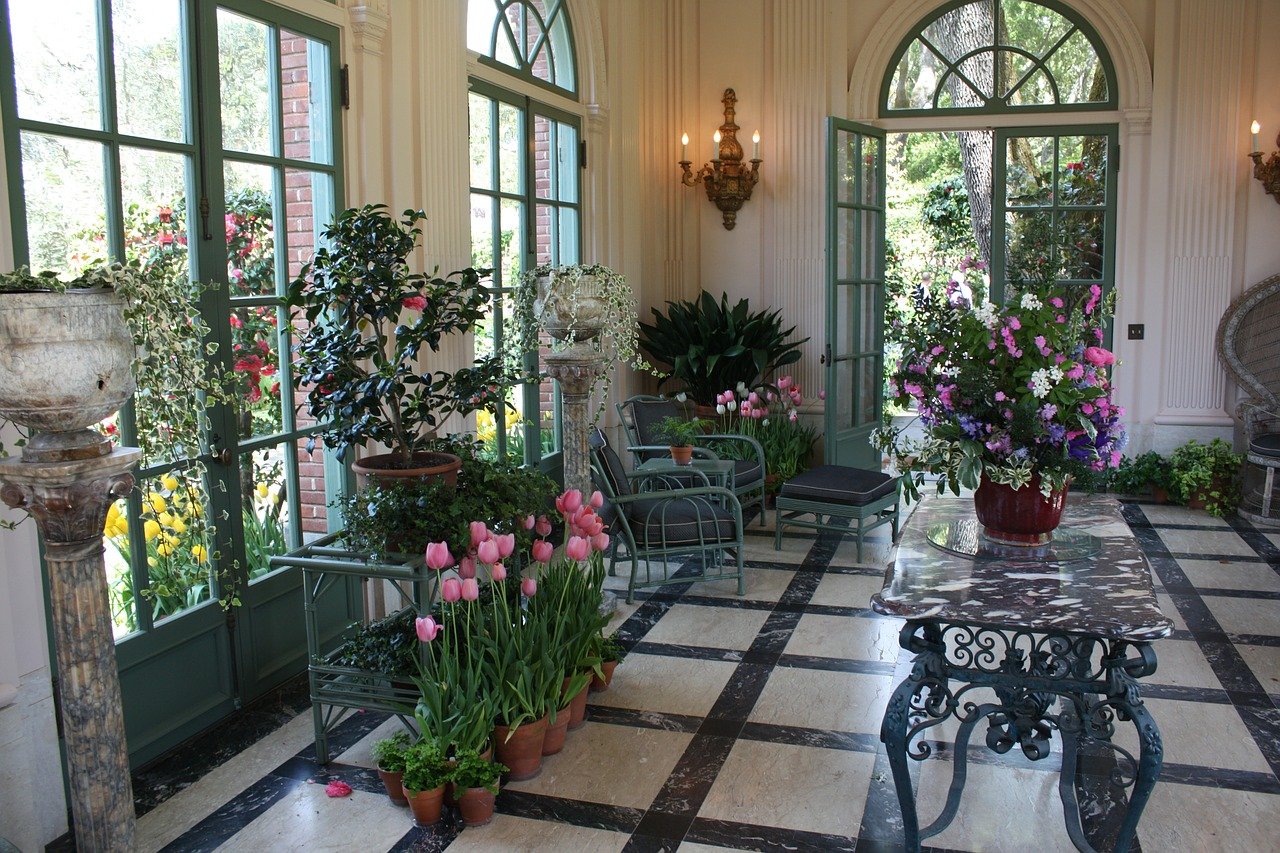 houseplants